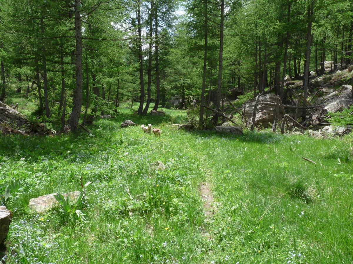 Les Marmottes D Estenc Luaran gambar